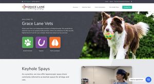 Above the fold screenshot of Grace Lane Vets home page